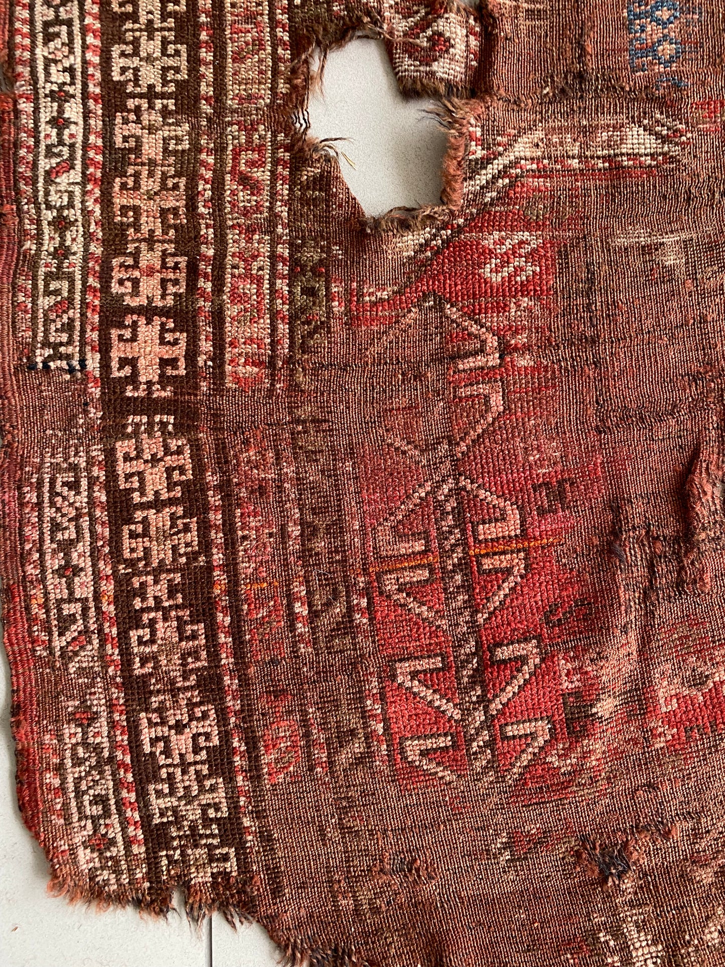 Caucasus Rug Fragment