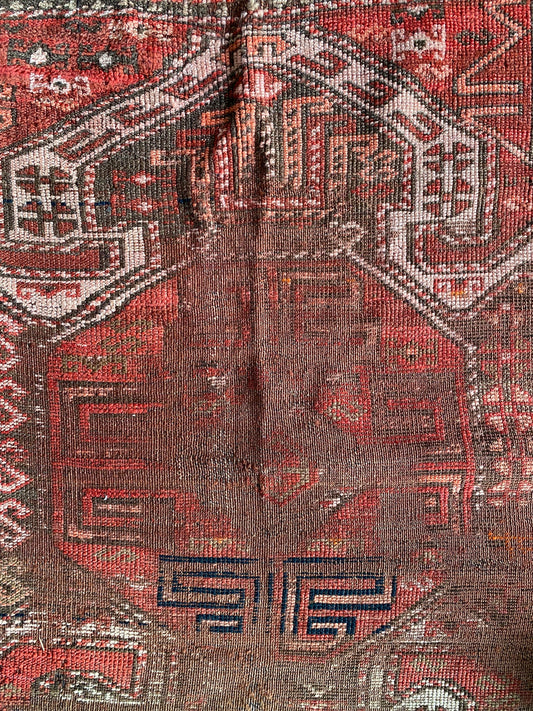 Caucasus Rug Fragment