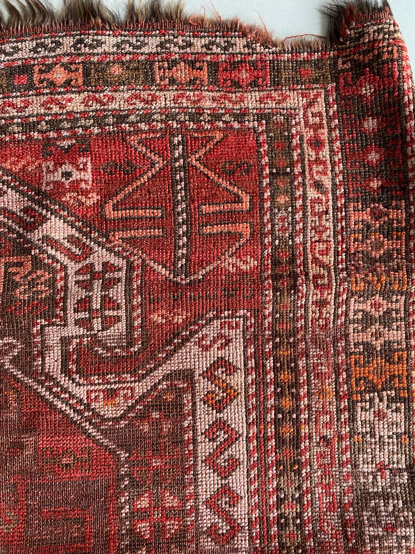 Caucasus Rug Fragment