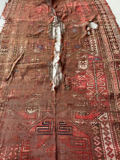 Caucasus Rug Fragment