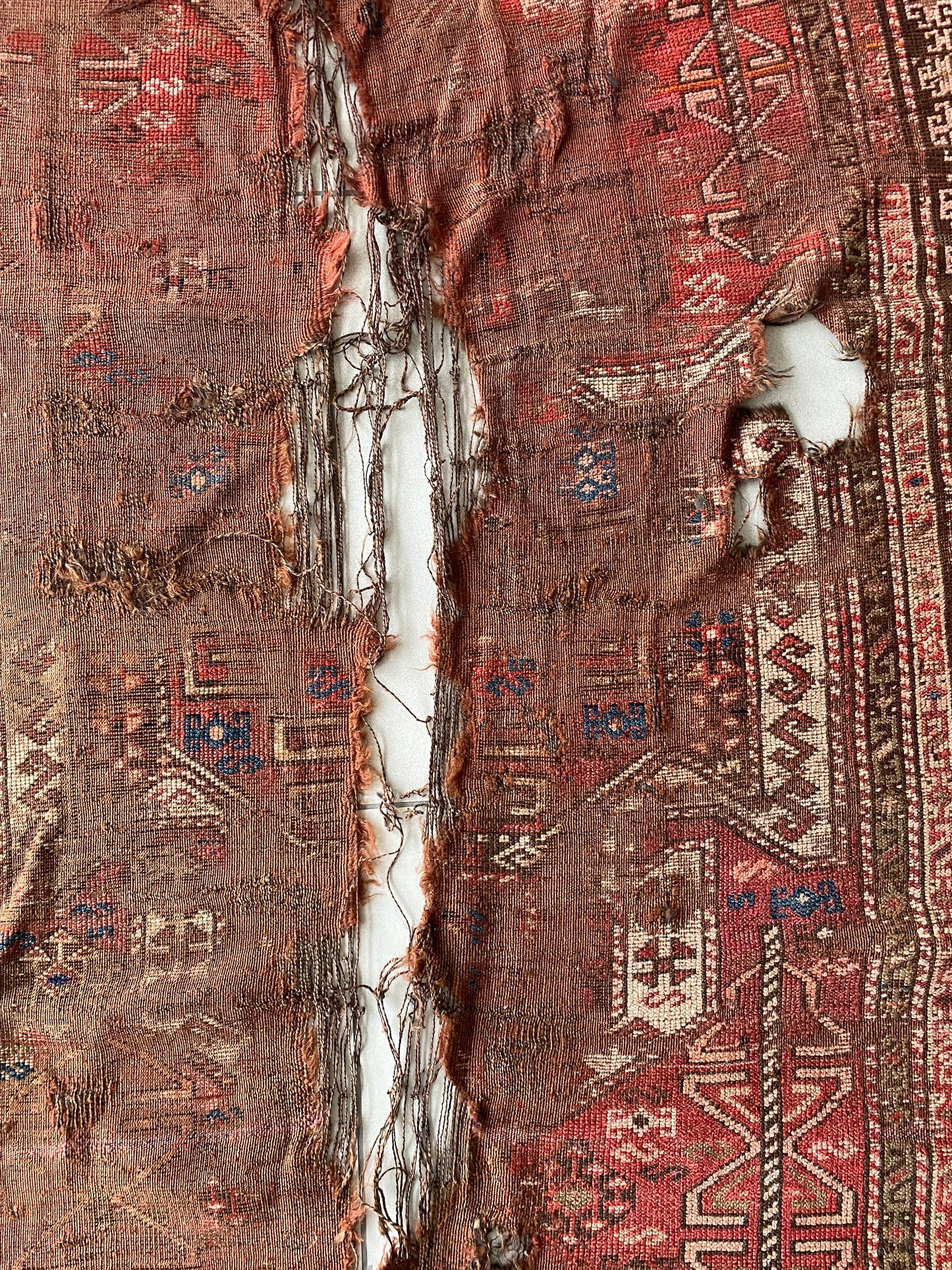 Caucasus Rug Fragment