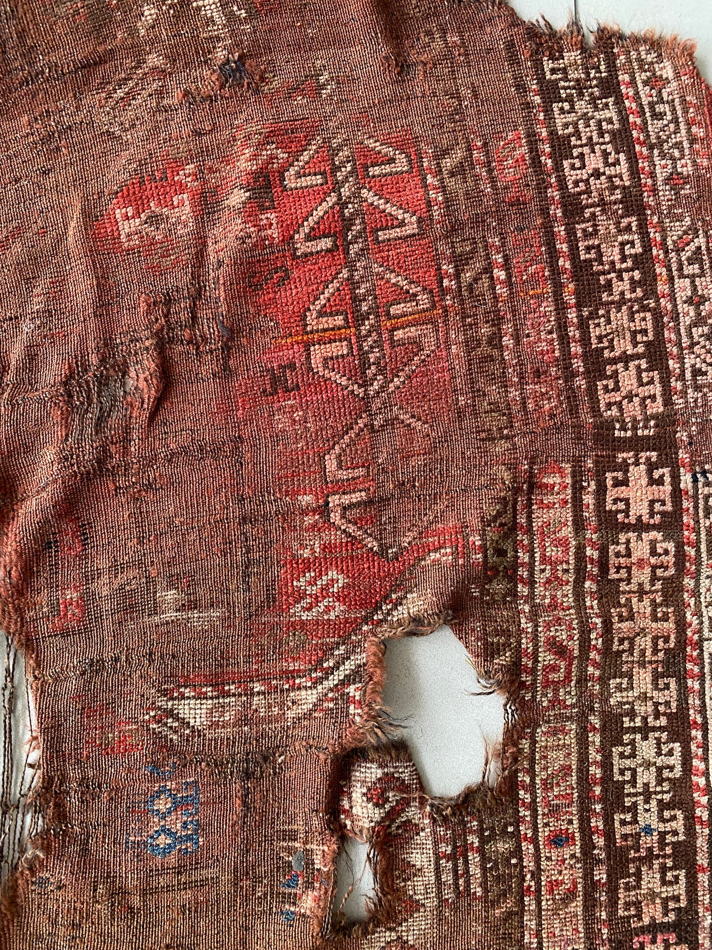 Caucasus Rug Fragment