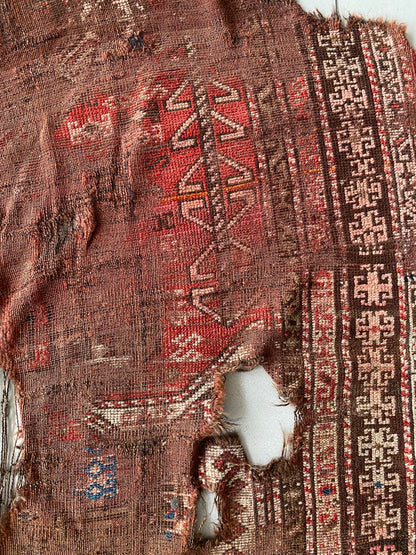 Caucasus Rug Fragment